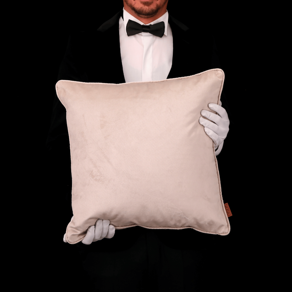 Hit 50*50 Vizon Kadife Kırlent