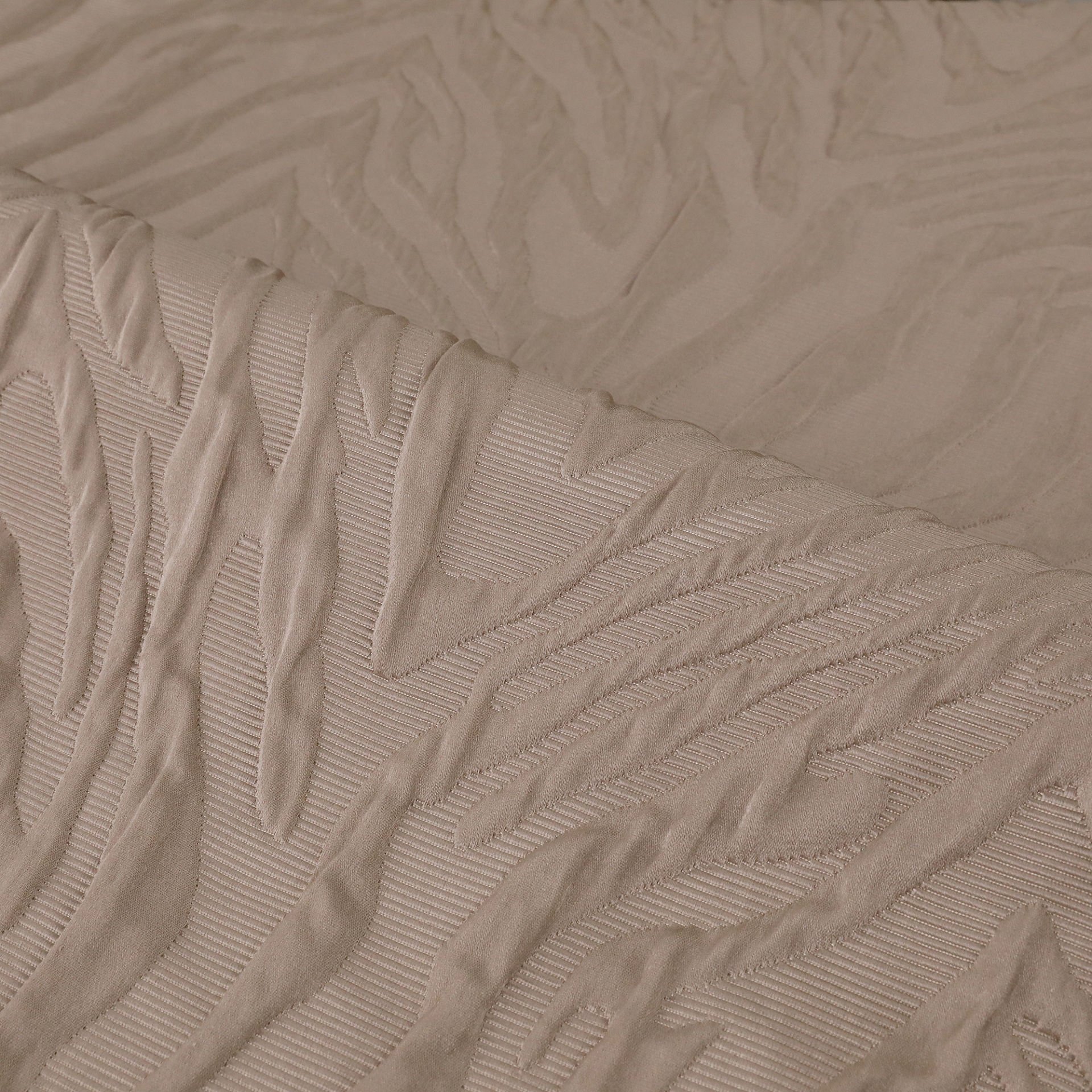 Favore F507 Açık Vizon